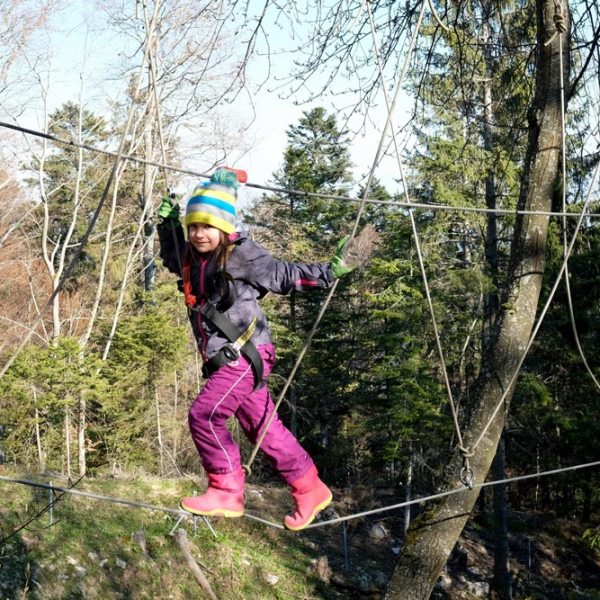 a person in a forest