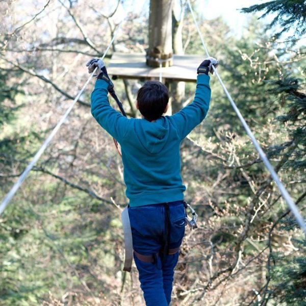 a person standing next to a forest