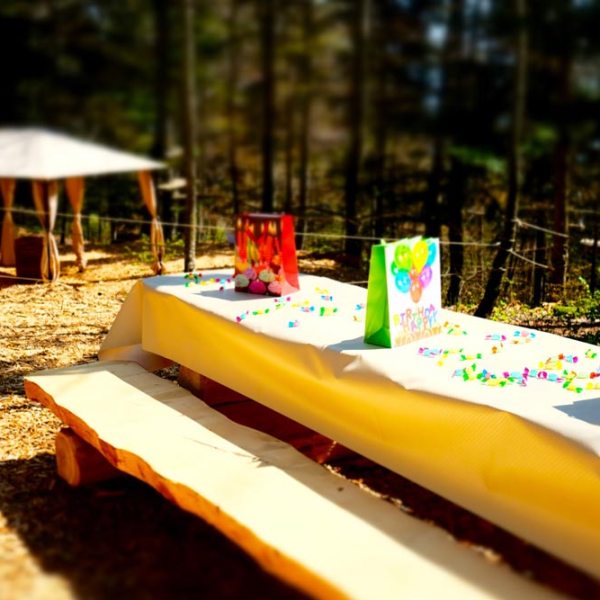 a cake sitting on top of a picnic table