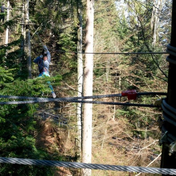 a close up of a wooded area