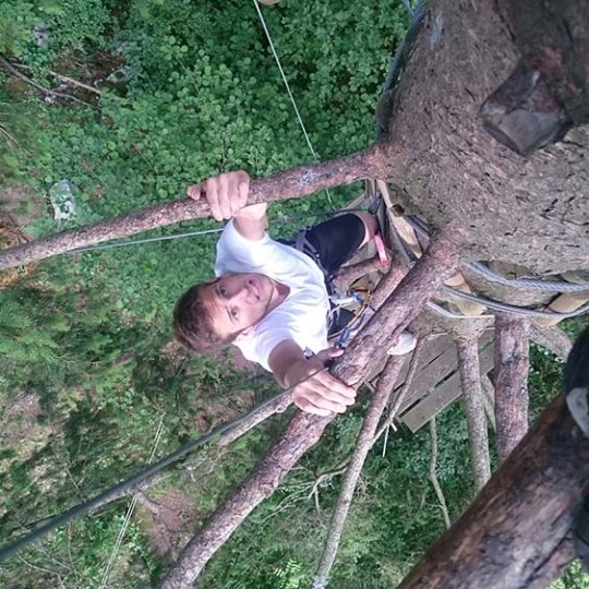 a monkey holding onto a tree trunk