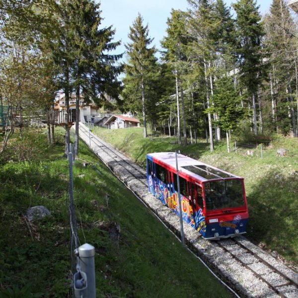 a bus traveling on a train track with trees in the background