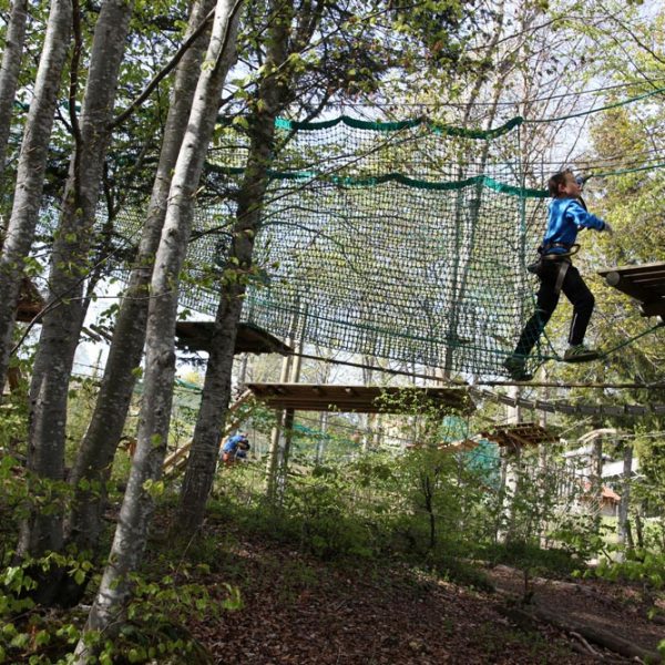a man jumping in the air in front of a tree