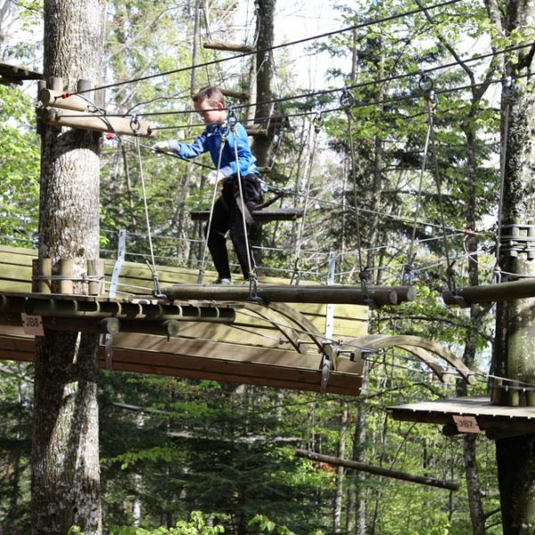 a person sitting on a bench next to a tree