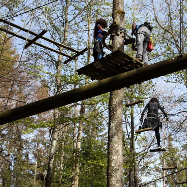 a group of people in a forest