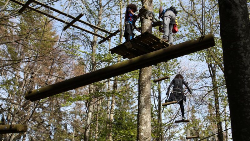 a group of people in a forest