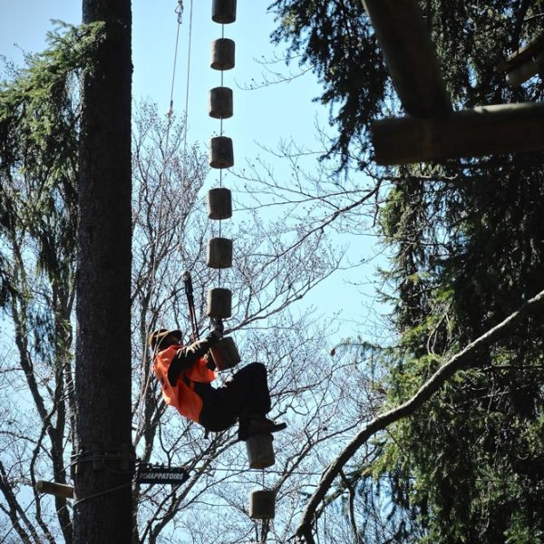 a traffic light hanging from a tree