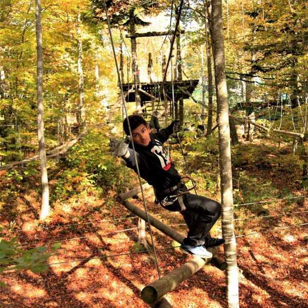 a man in a swing in a forest