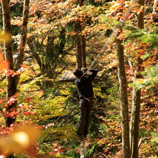 a man standing next to a tree in a forest