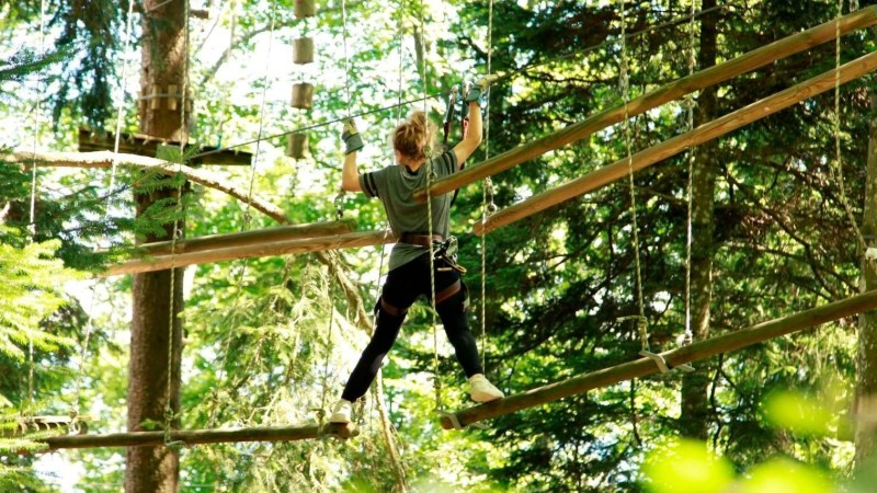 a person sitting in a tree