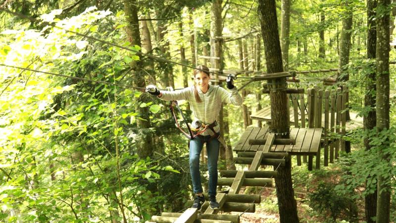 a person on a bench next to a tree