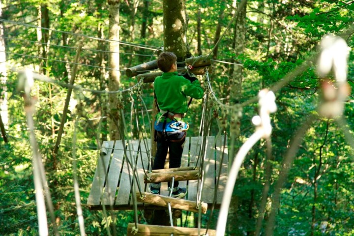 a person standing next to a tree