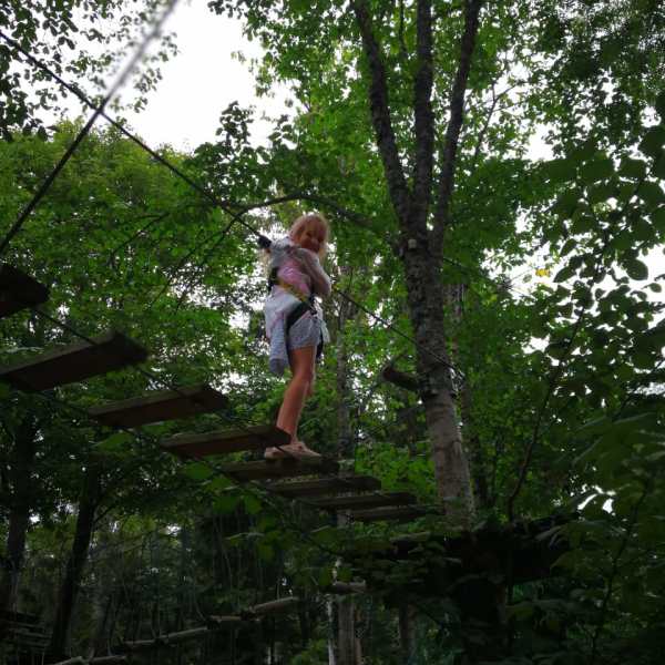 a man flying through the air while riding a skateboard next to a tree