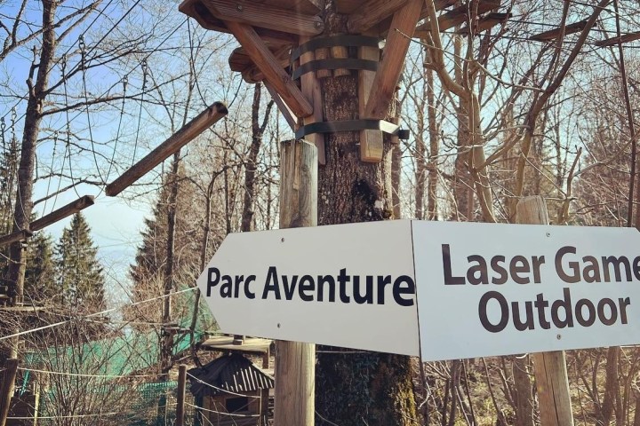a sign hanging from a tree