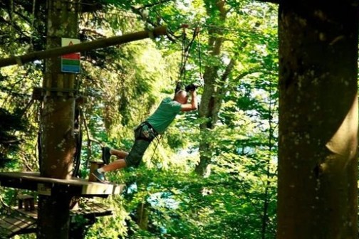 a person standing next to a tree