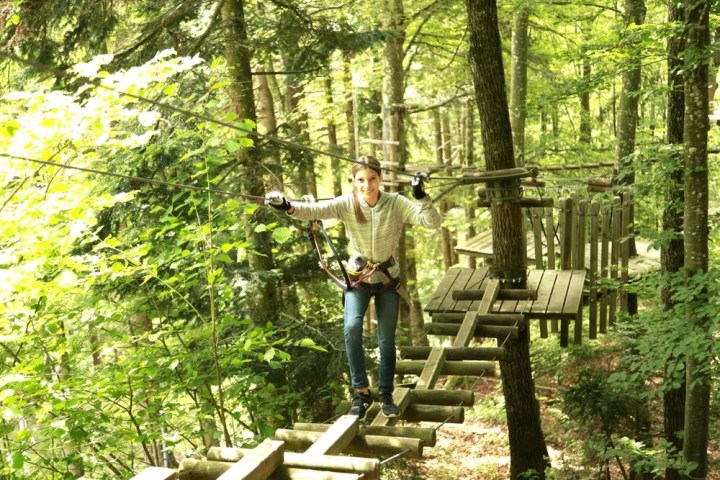 a person on a bench next to a tree