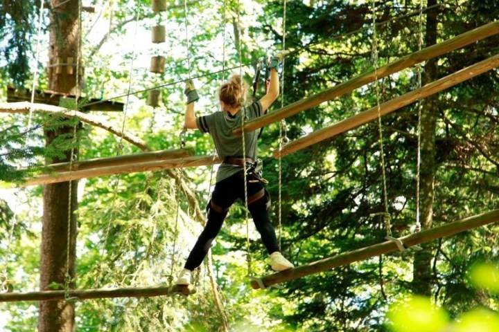 a person doing a trick in the forest