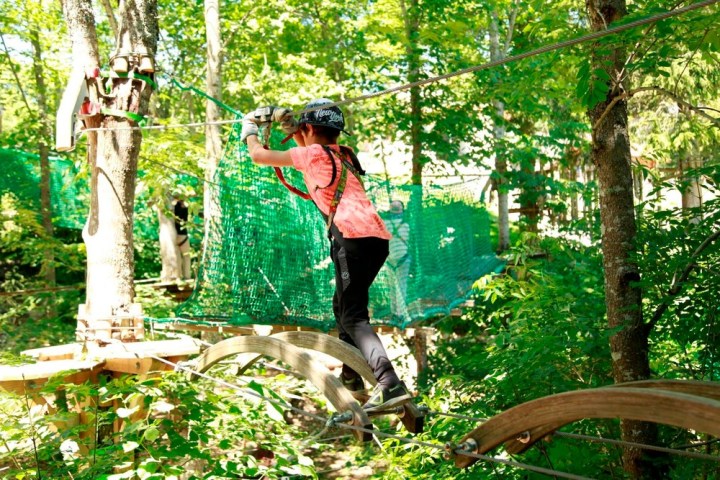 a man riding a skateboard up the side of a tree