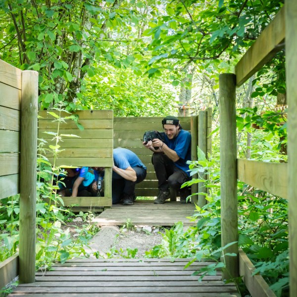 a person sitting on a bench in a garden